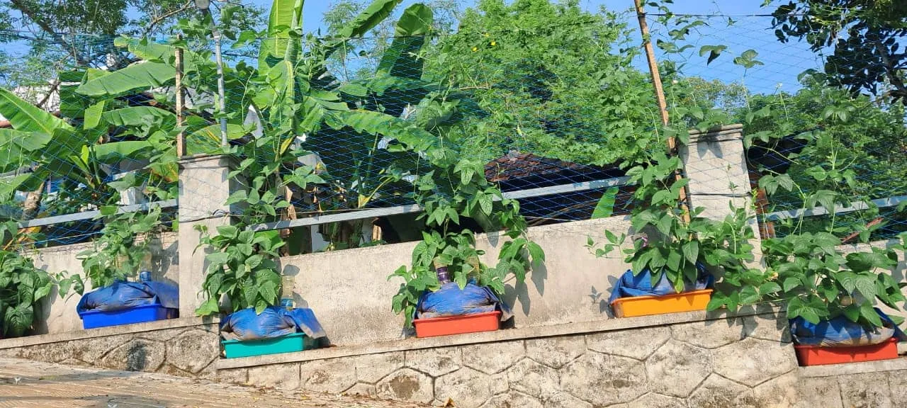 Eyyo's patented grow bags