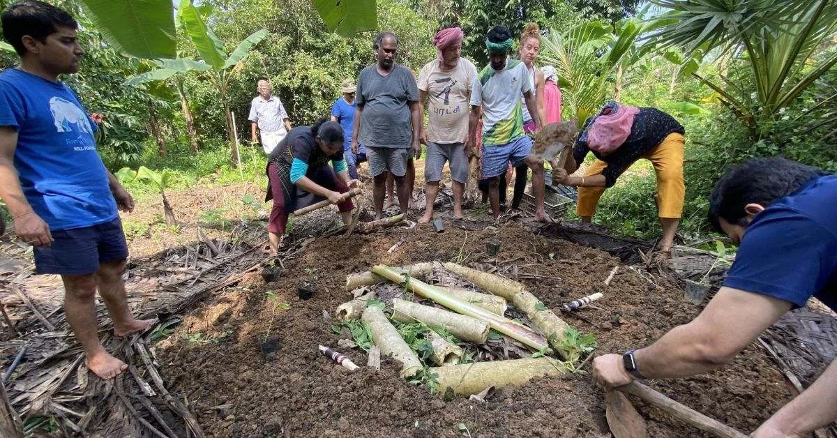 Solitude Farm in Auroville is a lesson in natural farming and how the harvest can be channeled into delicious meals, 