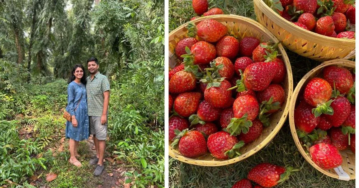 A Jodhpur-based couple is encouraging people to veer towards mindful eating with Mharokhet,