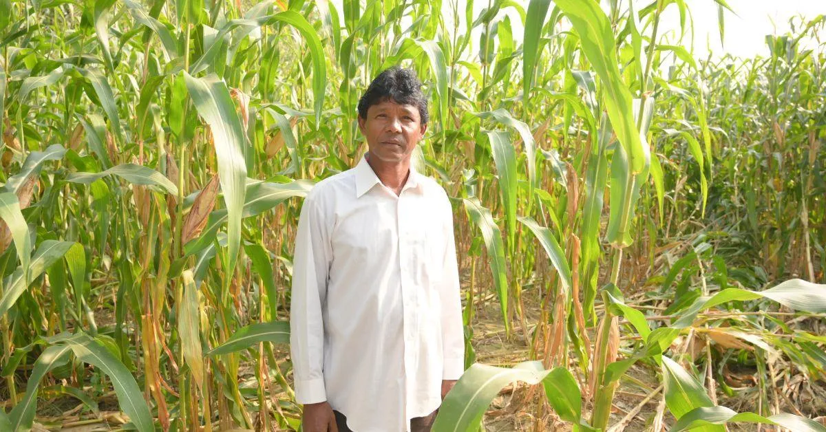 The company helps farmers with good quality seeds and fertilisers