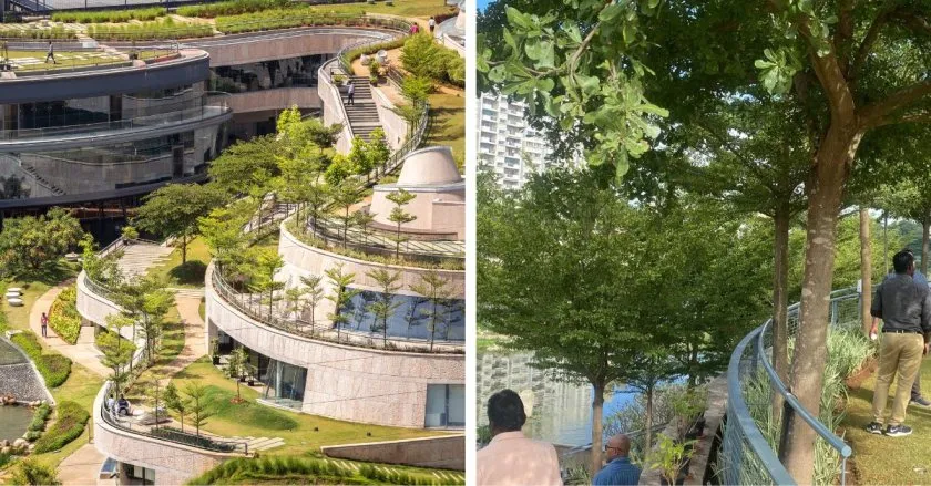 The office is wrapped around by trees with a bio lake flowing through it
