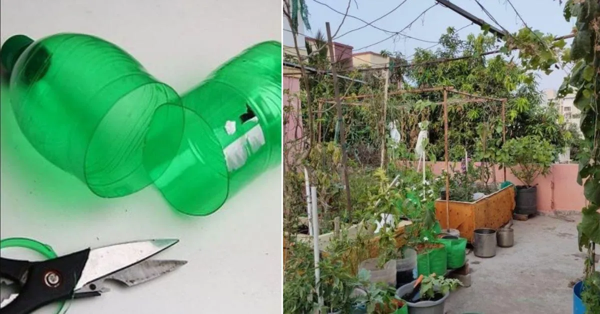 You can convert recycled containers including plastic water bottles, old refrigerators, and bathtubs, into planters. 