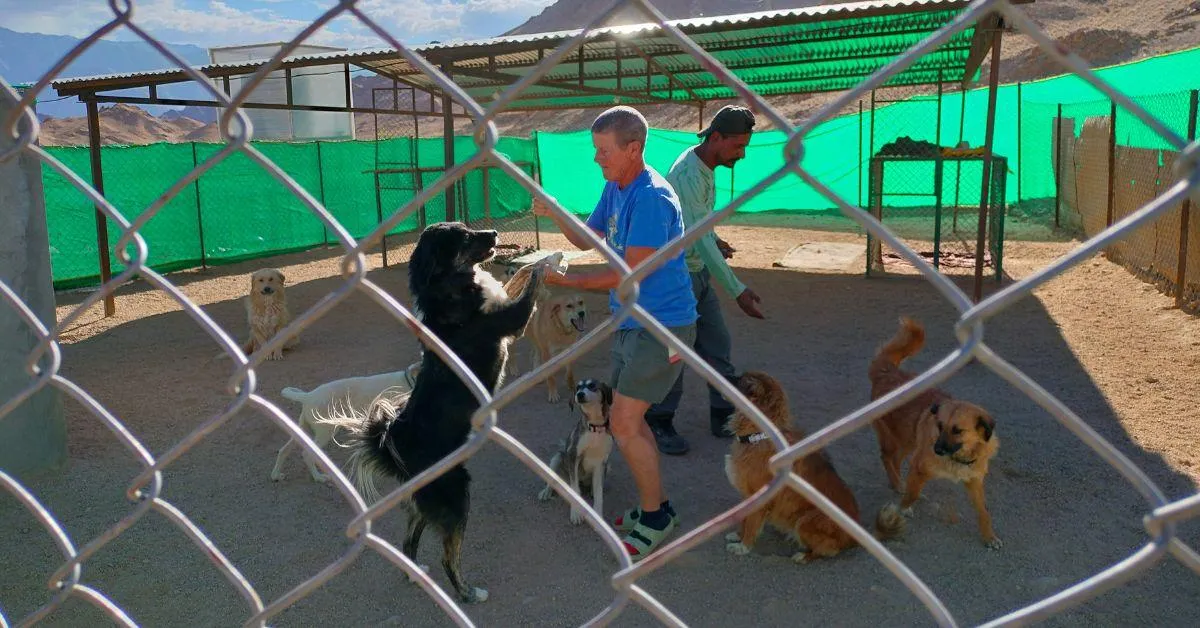 Deena Talbot and Binod Aryal with the dogs at the shelter.