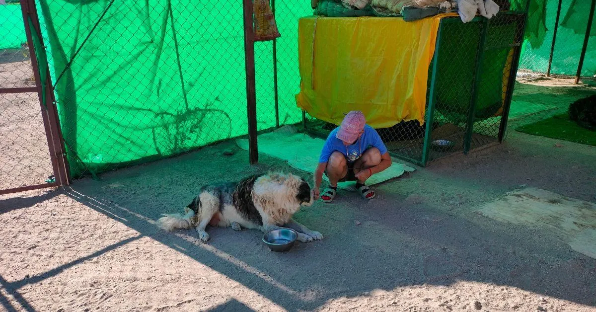 Caring for a stray dog.