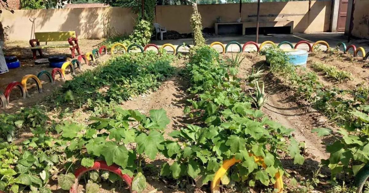 The administration also established kitchen gardens in public and private schools to promote the consumption of iron-rich foods.