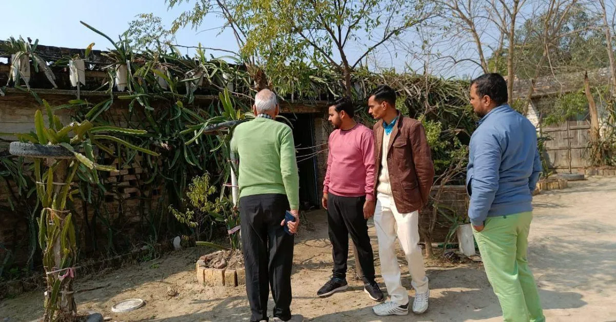 <br />
Anshul adopted innovative techniques like wall farming to maximise yield.