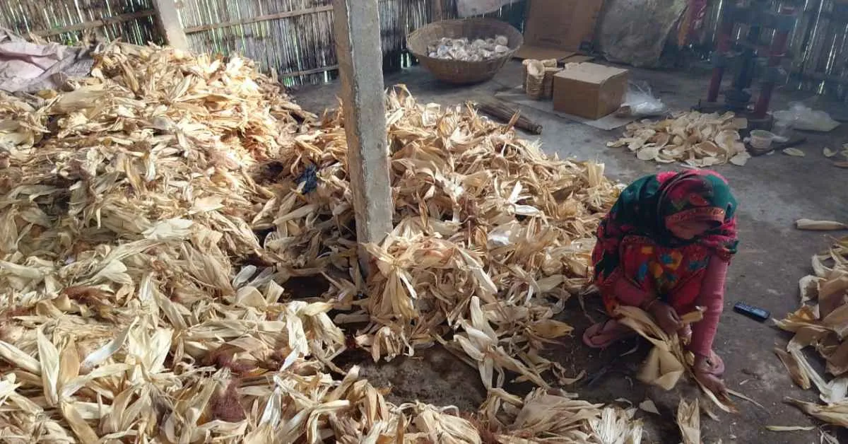 corn husk waste that is used to make innovative and eco-friendly products