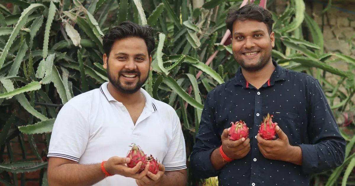 Anshul Mishra says dragon fruit farming provides long-term profitability