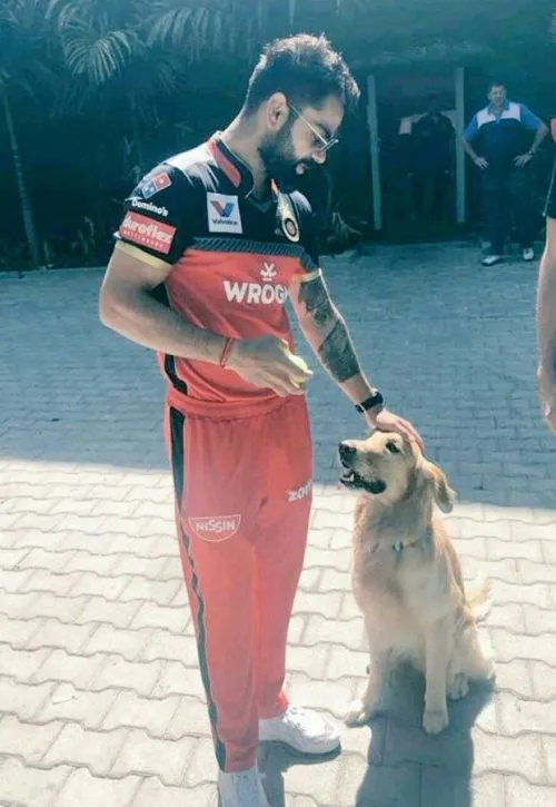 Kohli has supported many animal welfare projects and shelters.