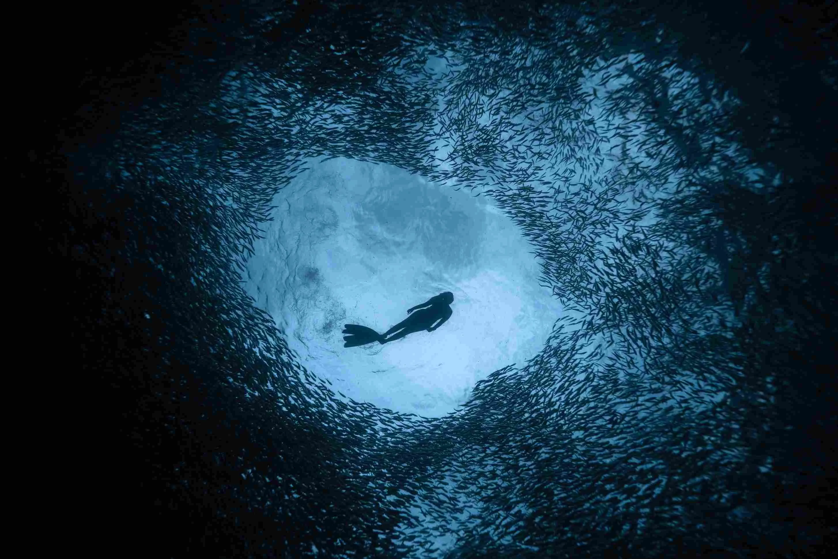 archana sankaranarayanan freediving 1