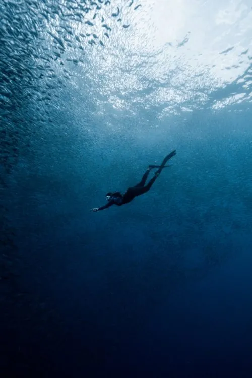 archana sankaranarayanan freediving