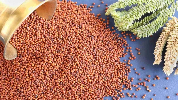 Ragi (finger millet)