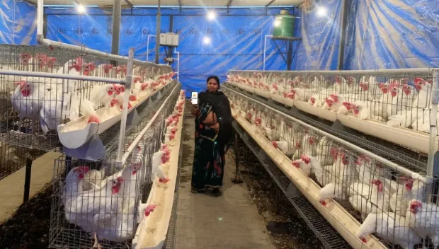 one of the poultry farm of a third party farmer