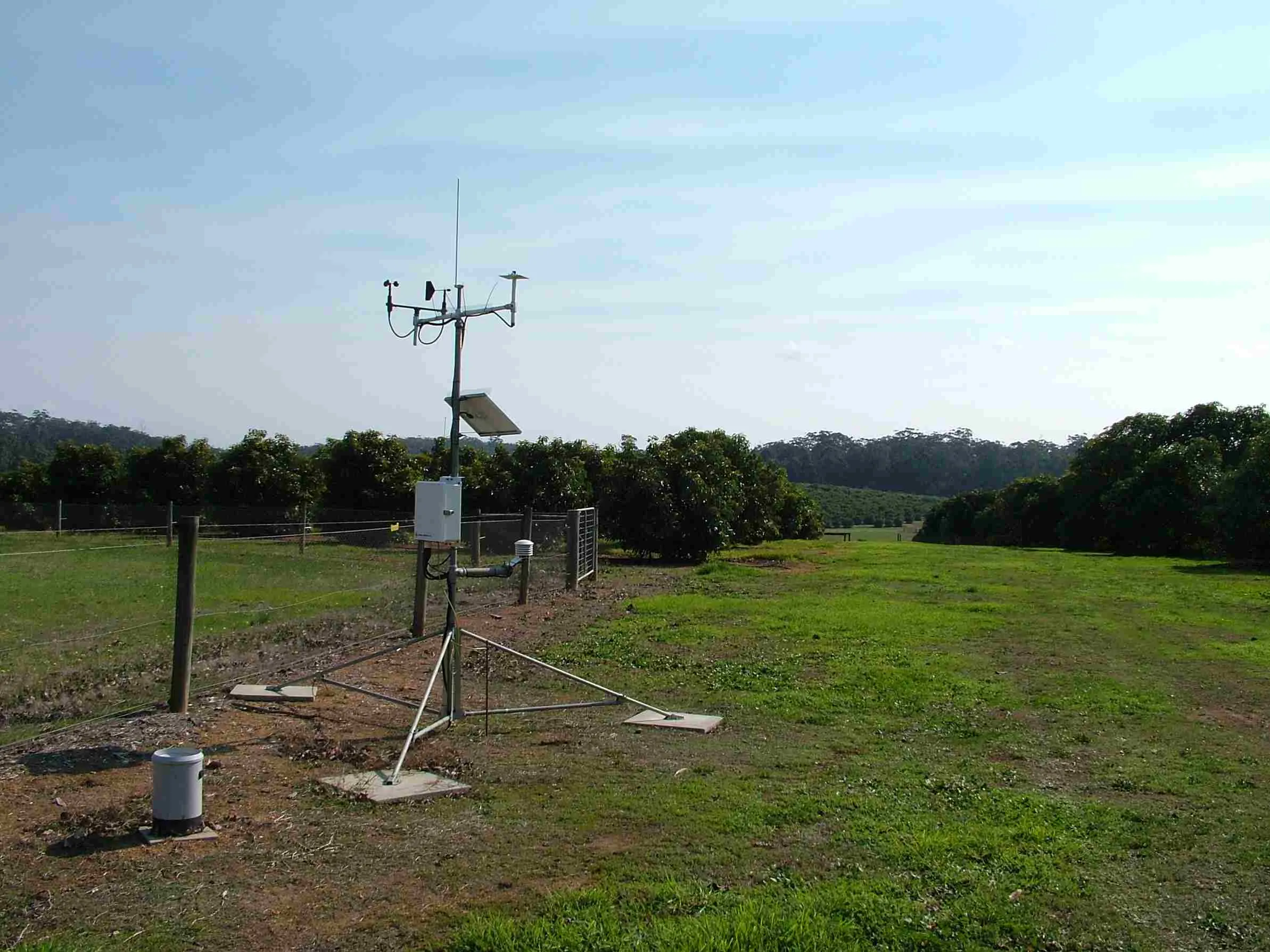 The farmer installed a drip irrigation system, which provides water directly to the roots of the plant