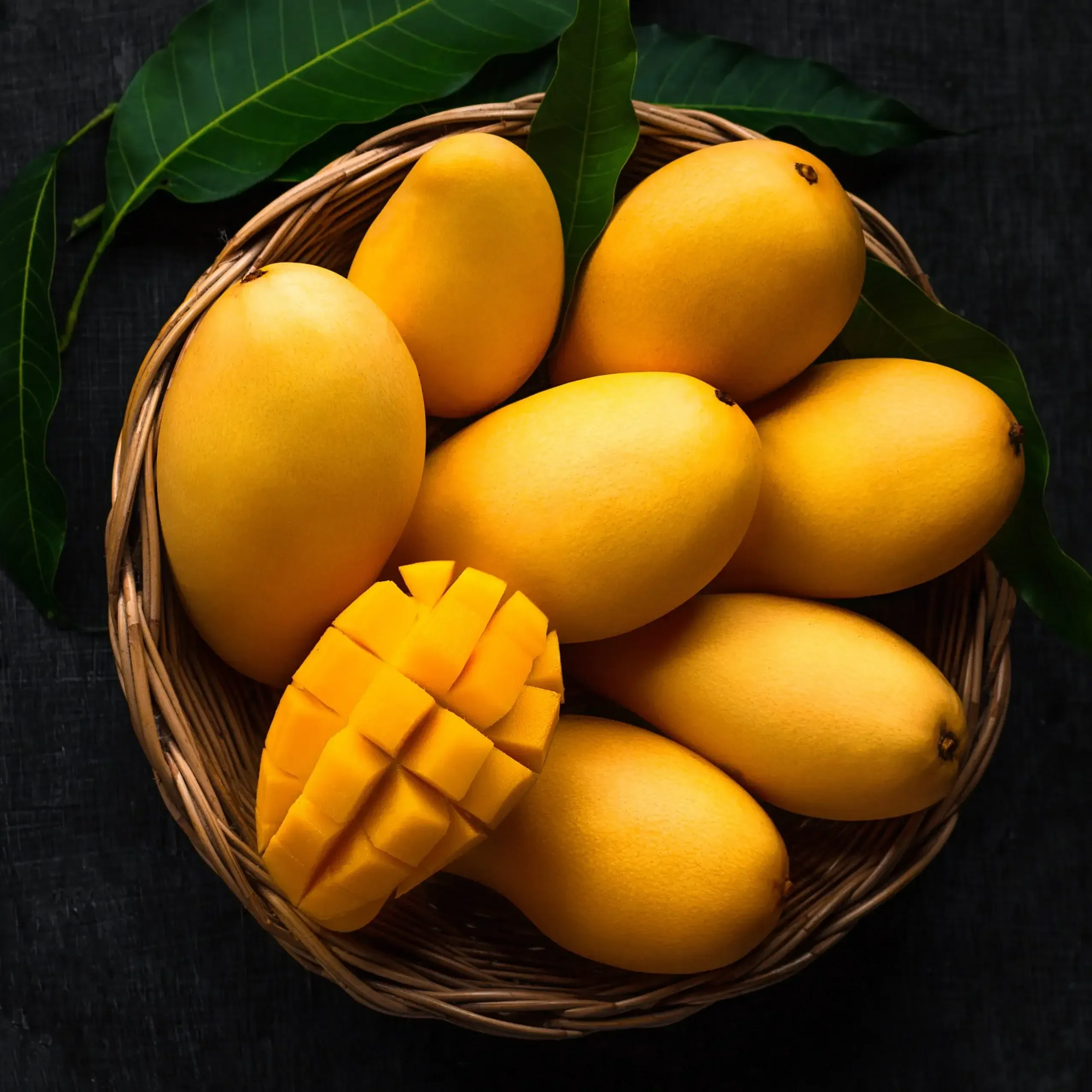 Do not overwater your Kesar Mango tree to prevent root rot