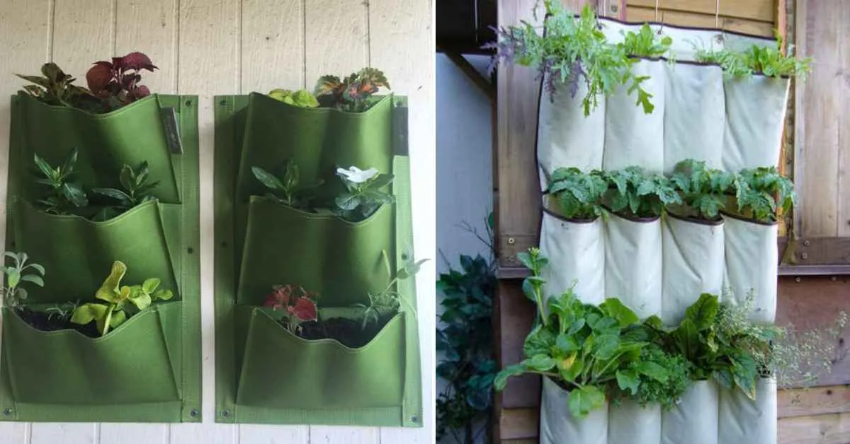 Hanging organiser garden
