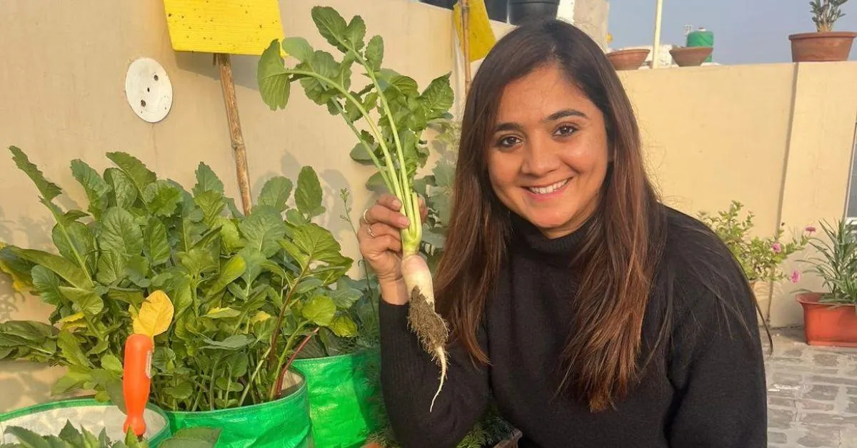 Poonam Wadhwa enjoys growing radishes, cherries, and mulberries in her terrace garden