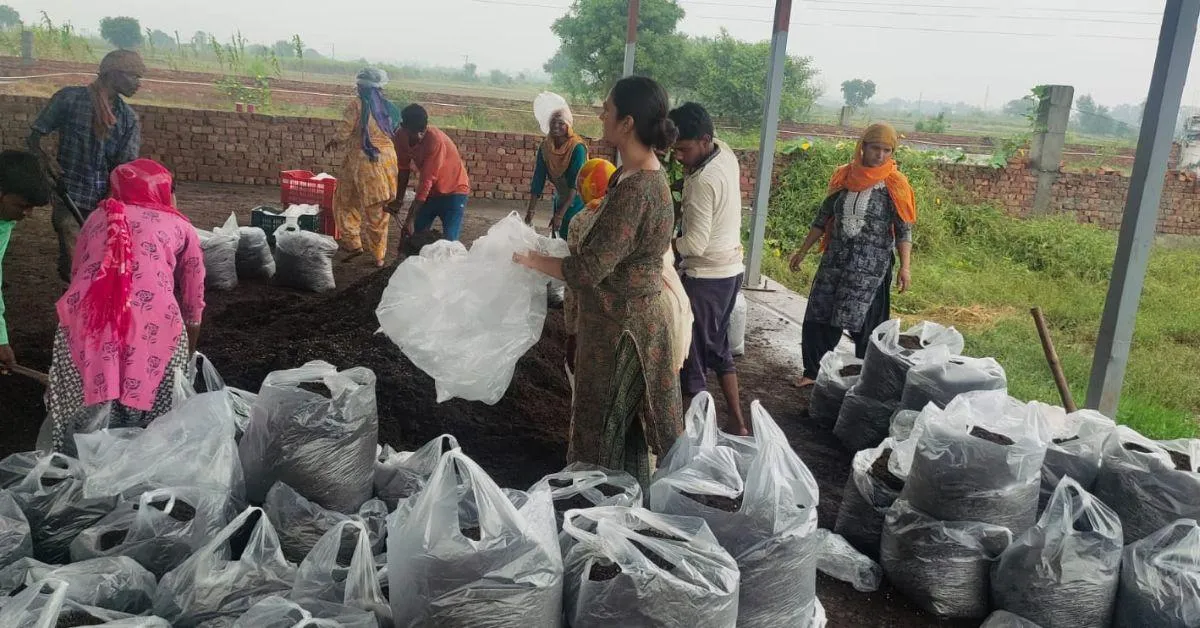 Rural women have found stable employment at the farm, earning incomes that have transformed their lives. 