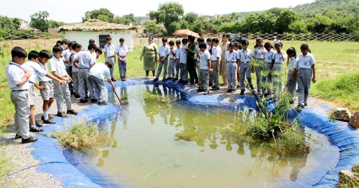 The pond that Jyoti has created at Forest Spirit Learning is an example of a perfect ecosystem that allows many kinds of species to thrive<br />

