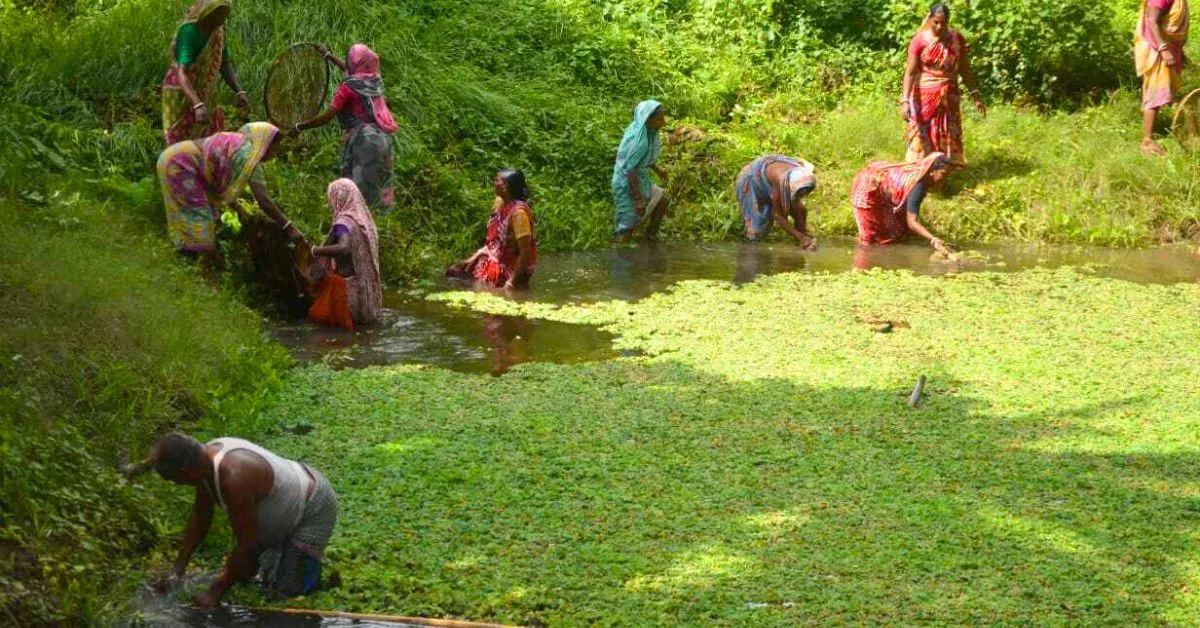 pond cleanup by SEED
