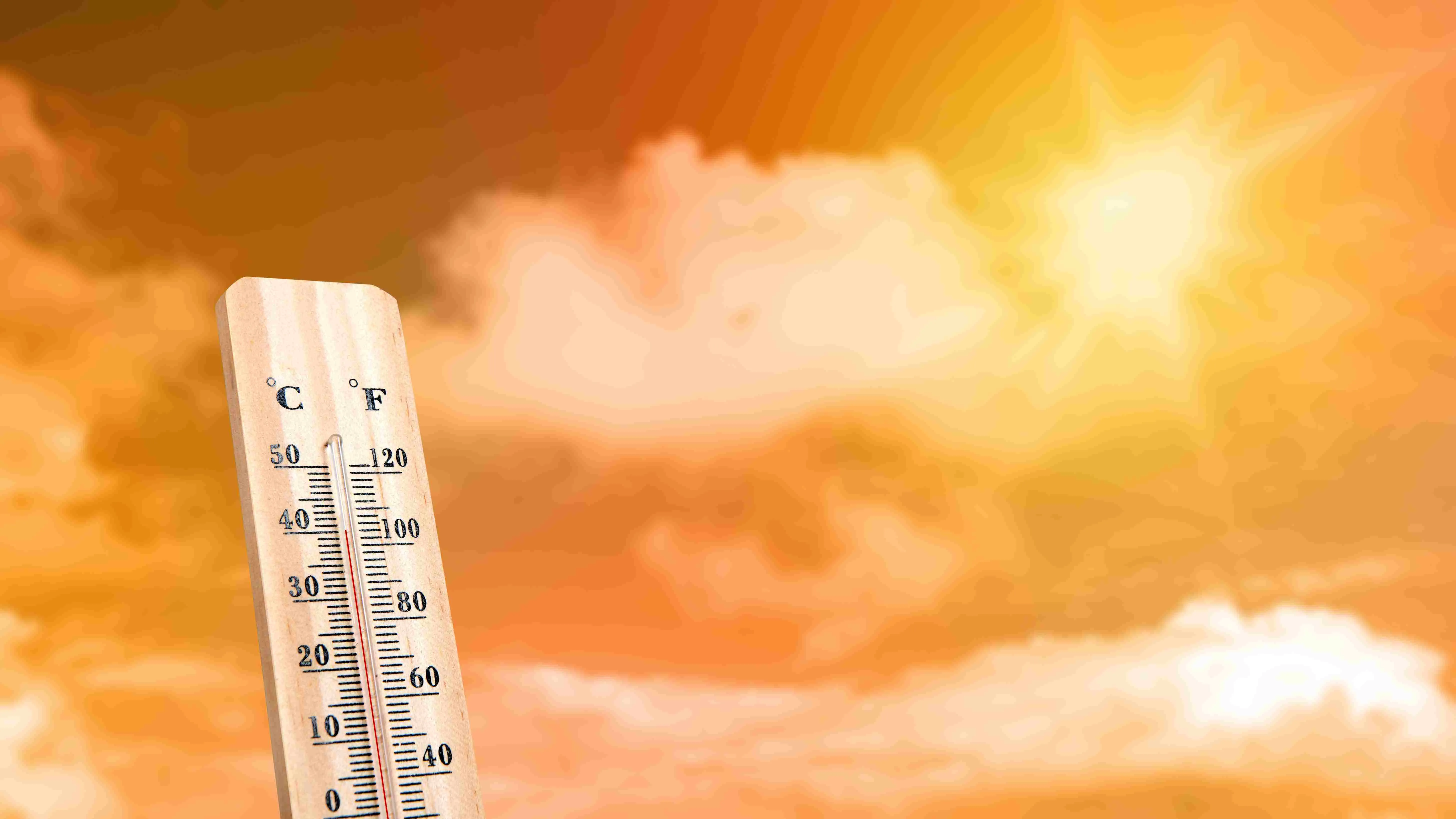 Many parts of India are witnessing unseasonal heatwaves in February 2025