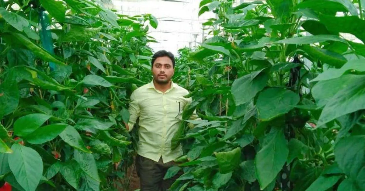 Working in the corporate, Suhas yearned for something more connected to nature, and closer to home.