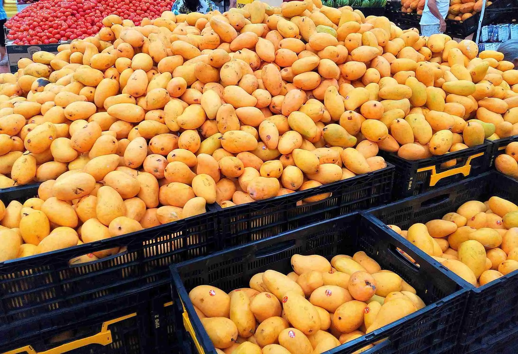 Through the portal, Bengaluru people can buy farm-fresh mangoes that get delivered to their homes