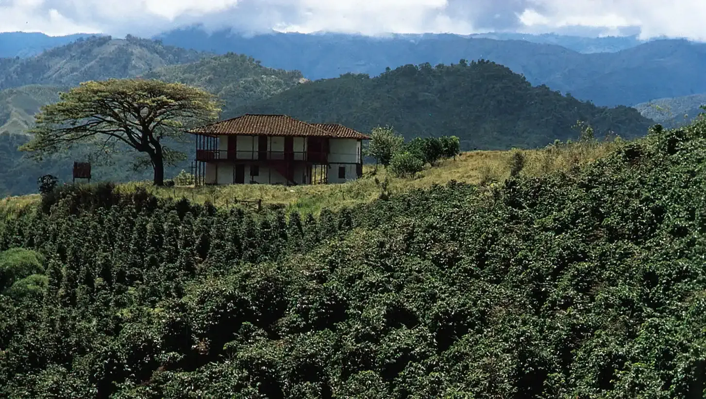 Coorg is known for its lush landscapes and vast coffee plantations