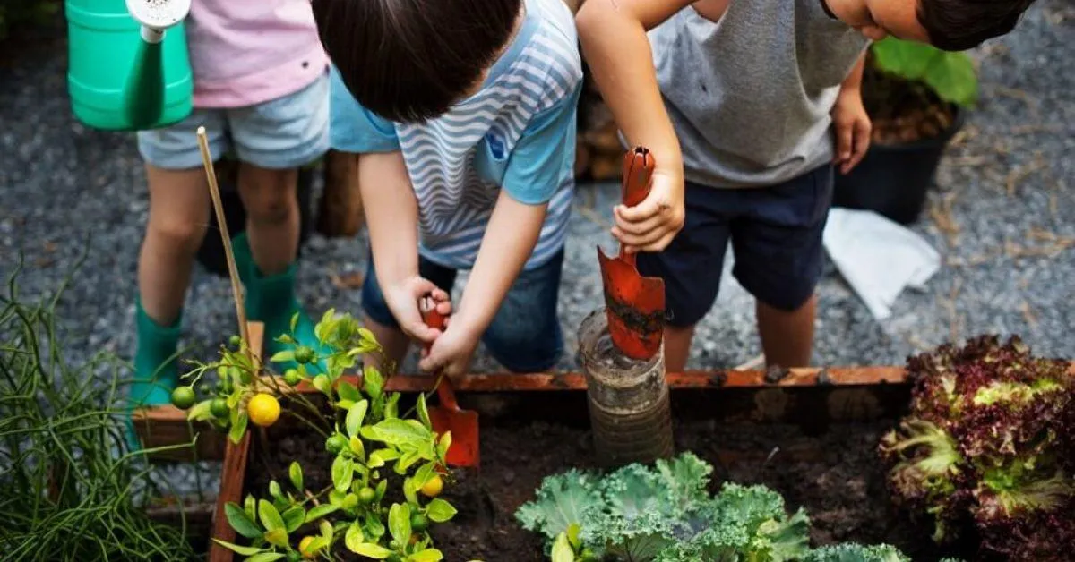 children involved in gardening