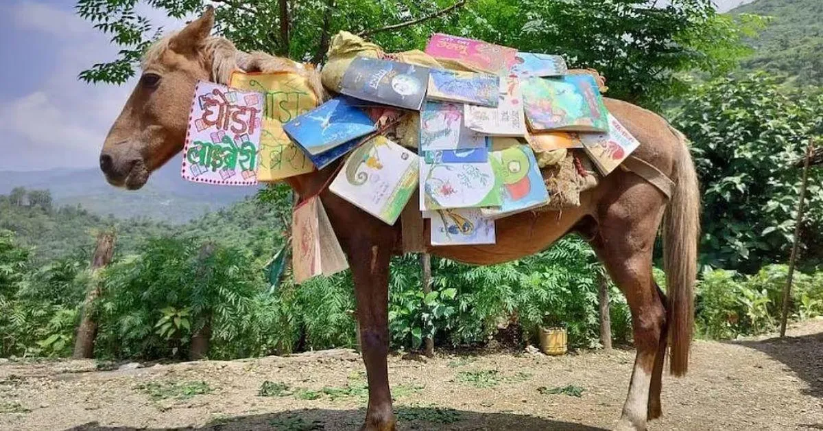 In Uttarakhand, a horse acts as the librarian for this unusual 'Ghoda Library'. 