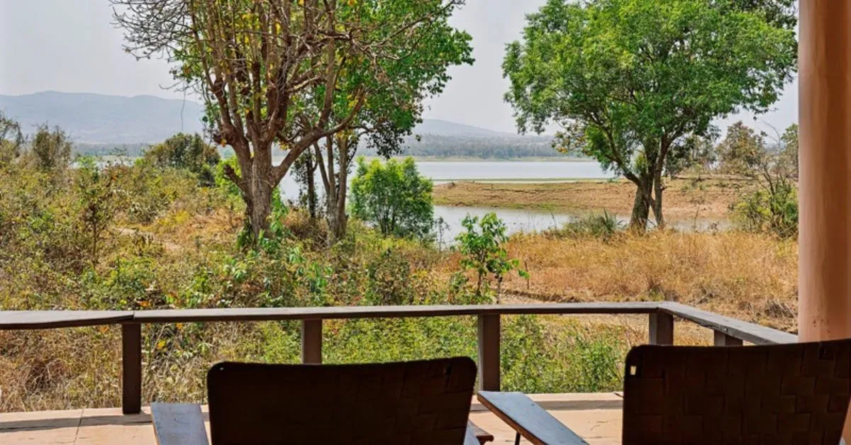 Views from the room balconies overlook the backwaters and forest edge, offering moments of serene reflection.