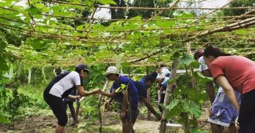 The Farm in Chennai lets you experience the simple joys of rustic living and organic farming.