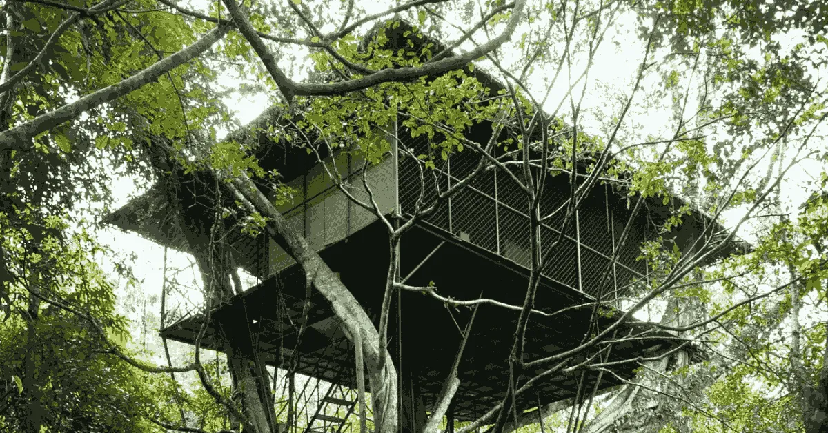 Vythiri Resort is where the forest breathes and time stands still. Image source: Vythiri resort