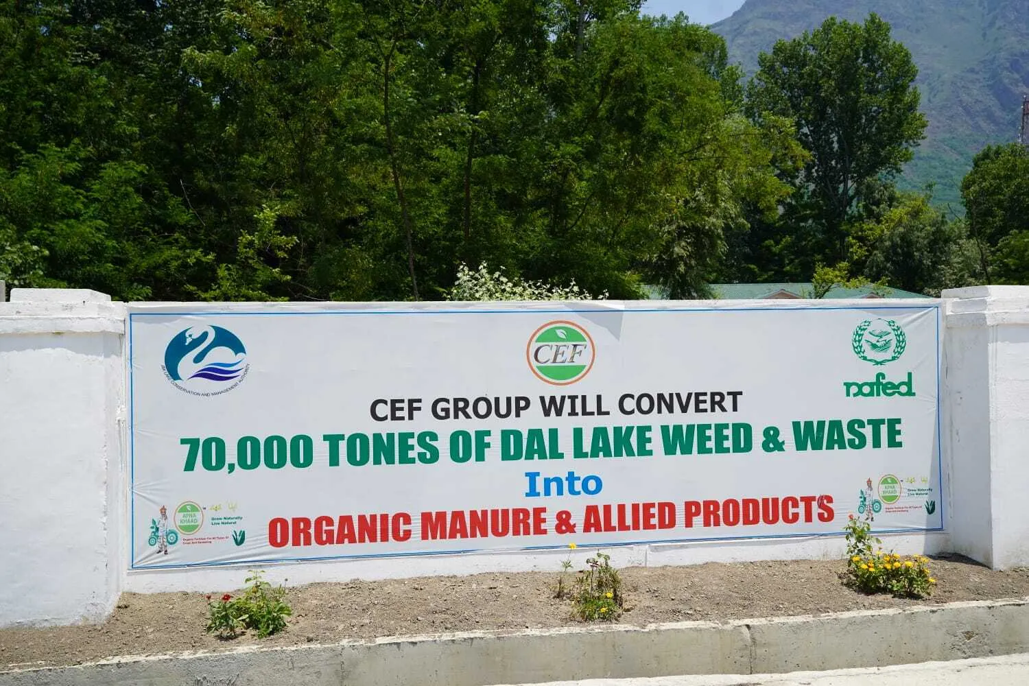 Between August and December 2024, the company received a total of 14,864 tonnes of lake weed