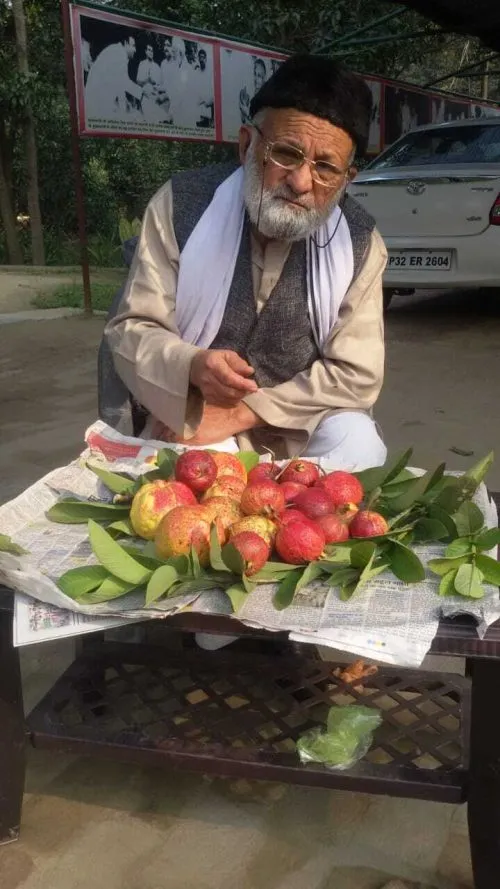 Kalimullah has spent most of his life taking care of his mango orchard and now, his son has taken over