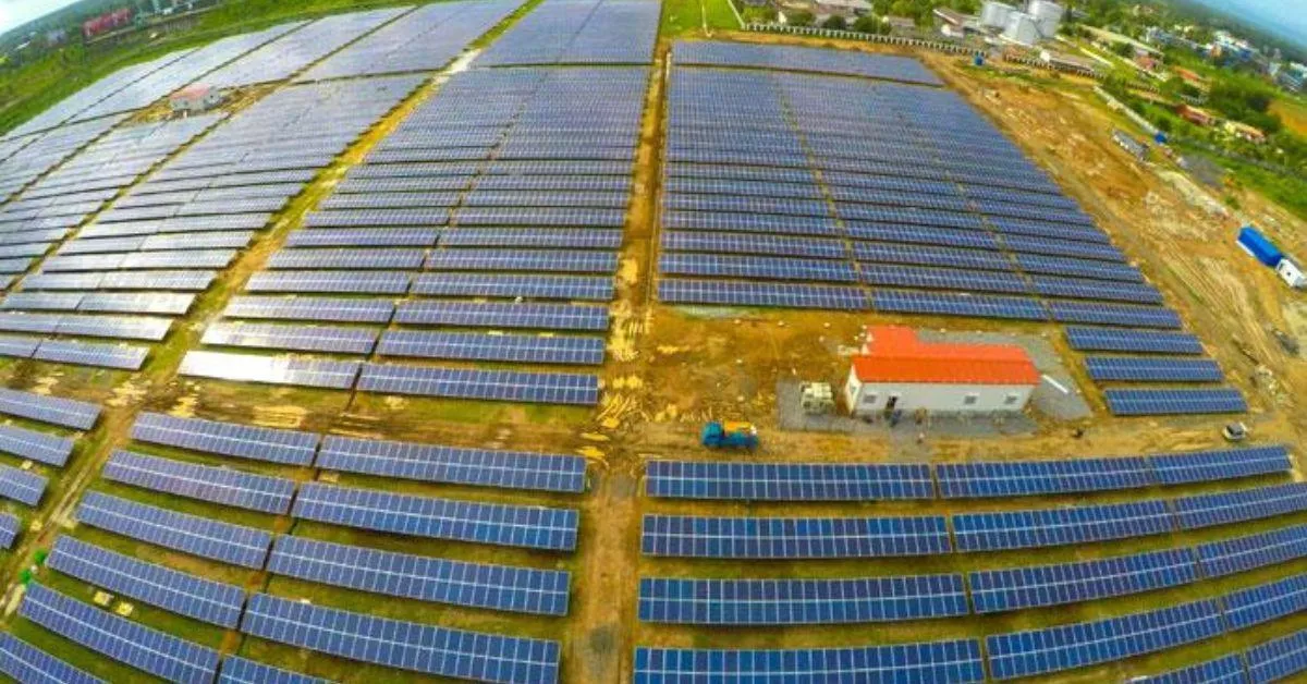 The Cochin International Airport is an exemplary model of how agrivoltaics can be used as ground mounted solar panels 