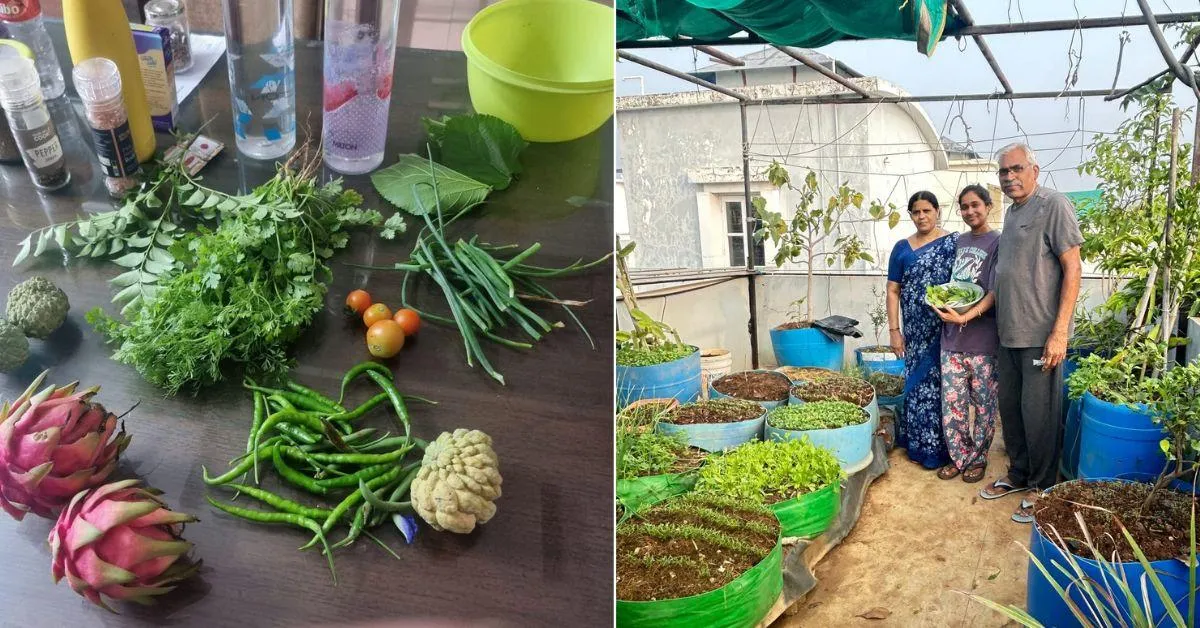 Covering more than 2,000 square feet, this rooftop showcases a vibrant tapestry of vegetables and fruits.