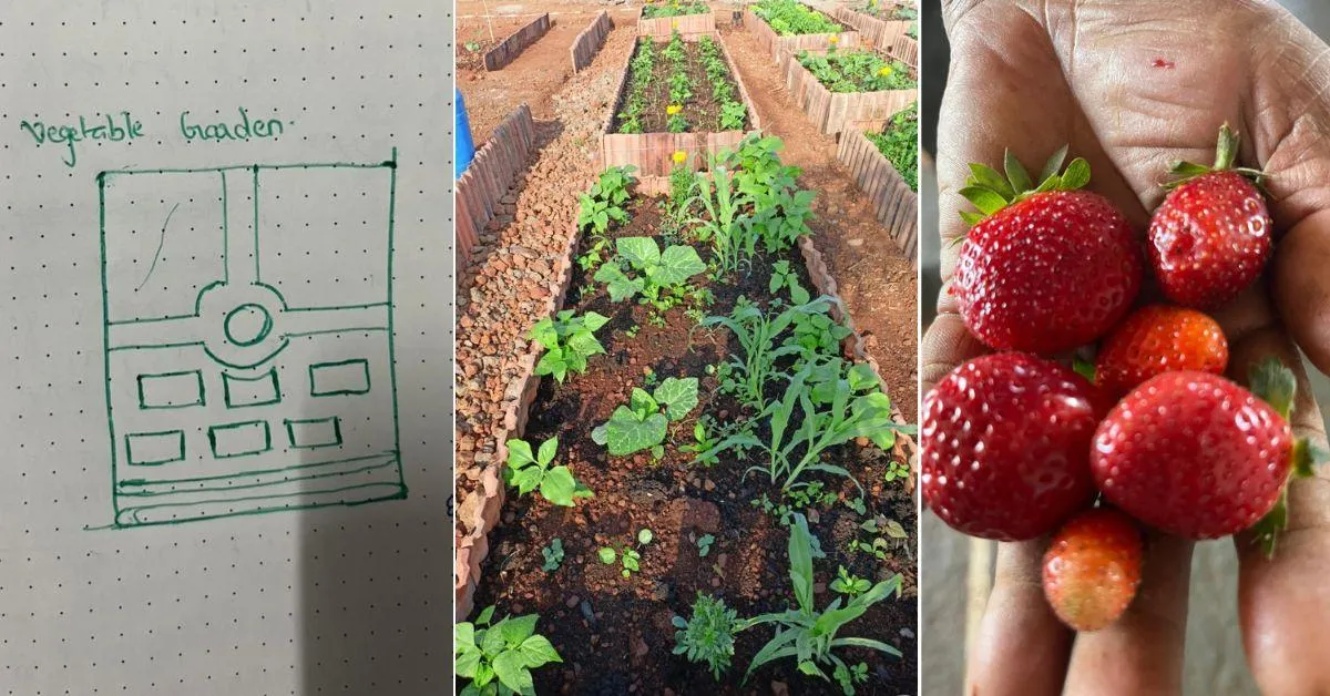The farm provides organic vegetables and is involved in creating a diverse ecosystem.