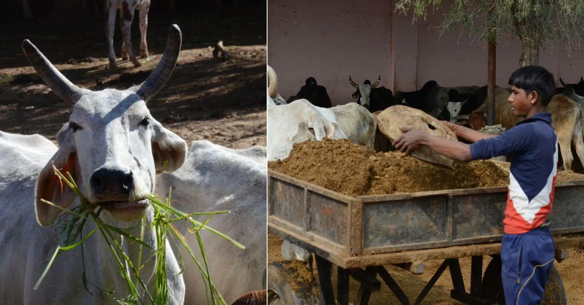 Vighnesh is supported by a dedicated team of 15 full-time employees and volunteers.