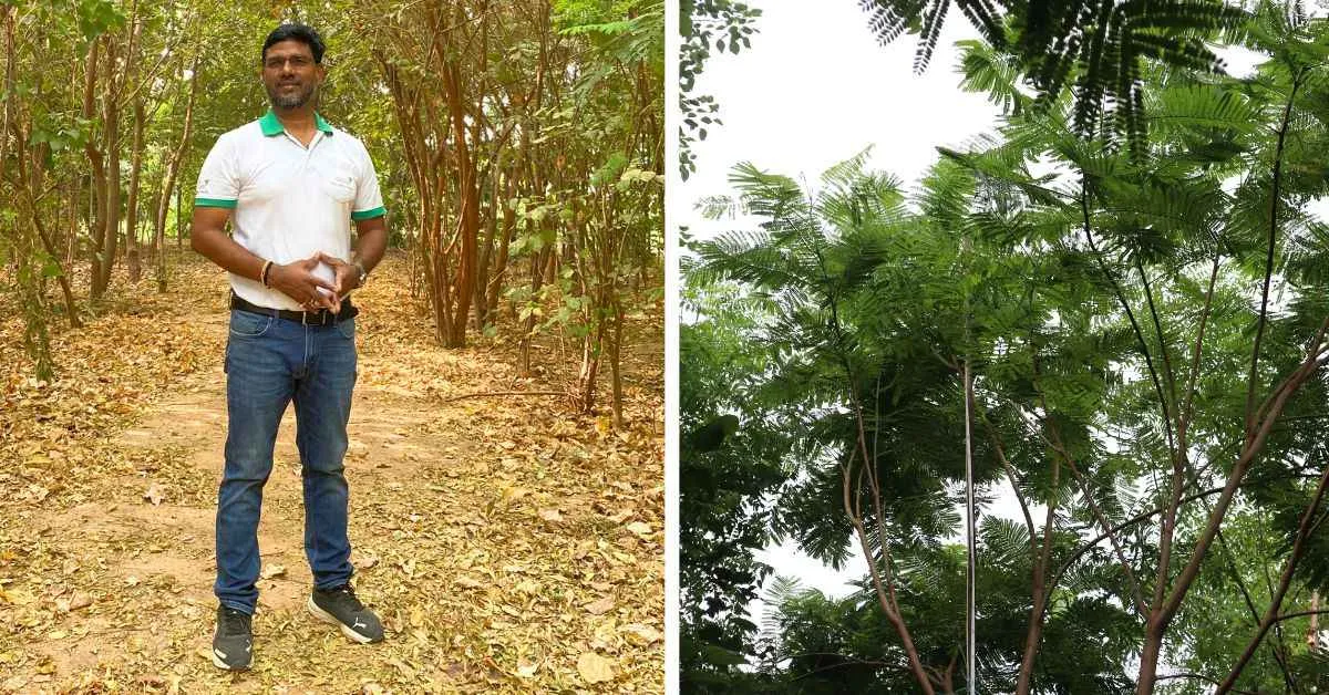 Bharat Sisodia is the founder of CATCH Foundation which is an NGO focused on reforestation efforts across the country 