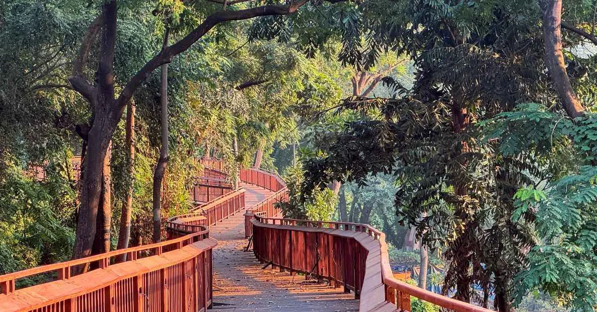 The Malabar Forest is home to numerous species of birds such as the Great Indian Hornbill and parakeets 