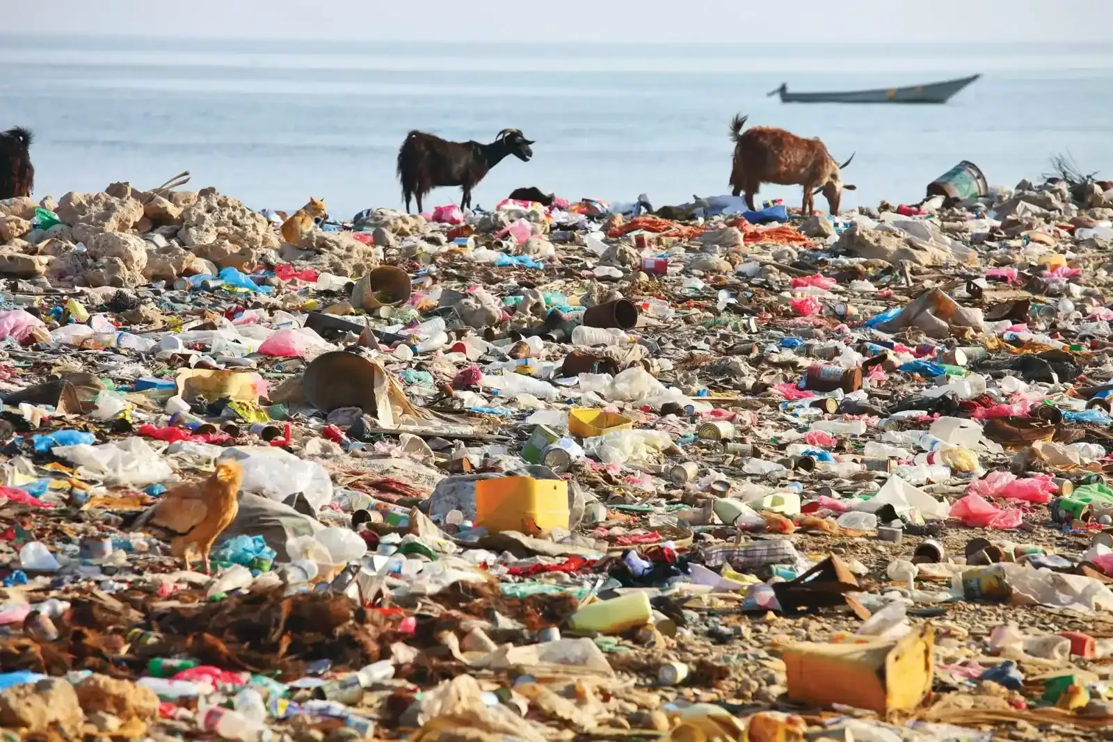 Around 20 tonnes of plastic waste end up in the ocean every minute