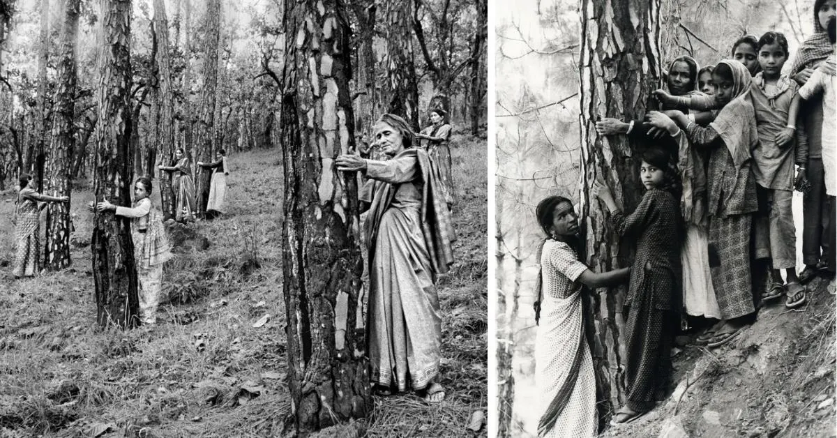 The Chipko Movement began in 1973, when villagers — led by women — embraced trees in Uttarakhand to non-violently resist deforestation.