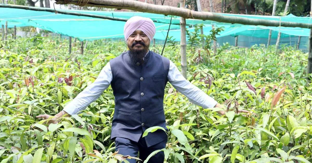 In 2019, Jasmit started collecting mango seeds from those who were willing to give and turned them into saplings for farmers