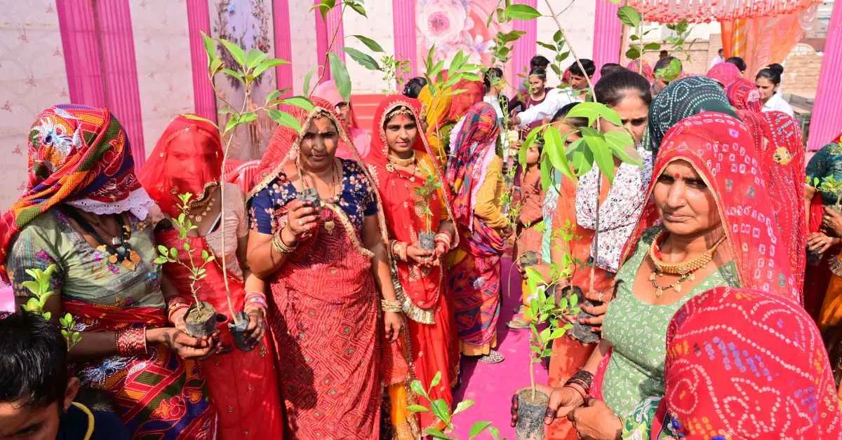 Hundreds of native trees, such as khejri, were planted by the villagers.