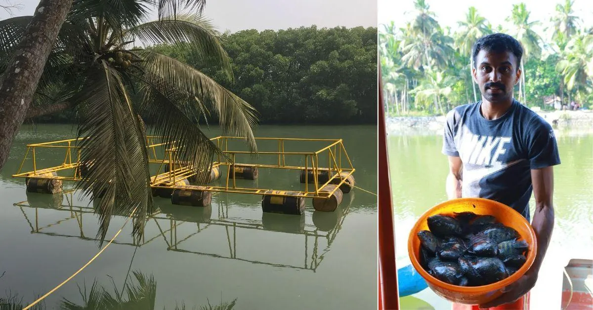 This farming system mimics the natural habitat of fish but allows for greater control over the environment.