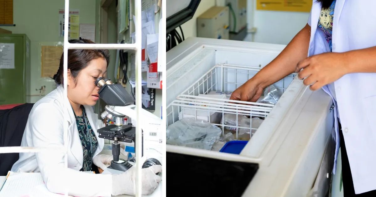 Reliable solar energy ensures life-saving vaccines stay potent, helping frontline health workers protect the youngest lives in Mizoram’s remotest corners.
