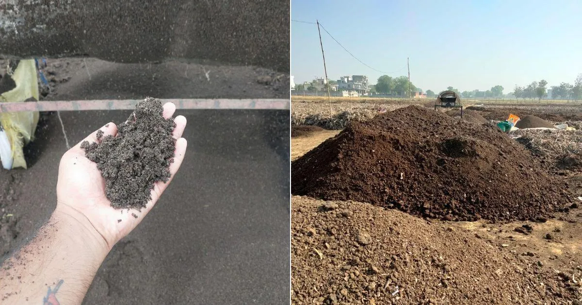 After losing his savings in the dairy business, Raj Singh pivoted to vermicomposting.