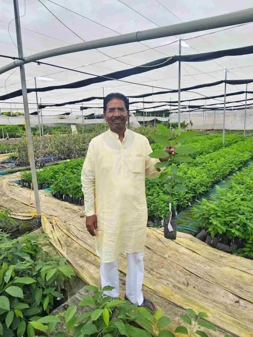 Golden Sitaphal farmer innovator
