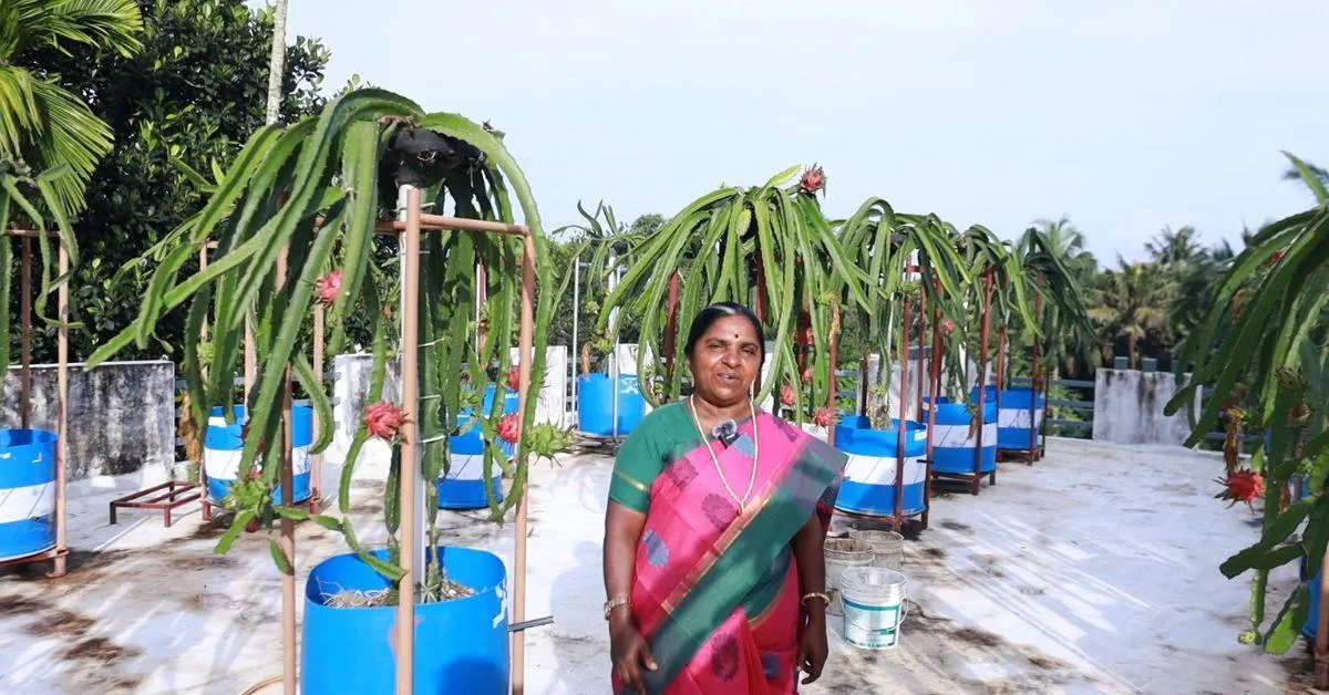 Remabhai also runs a YouTube channel, ‘JC’s World’, to share her expertise in dragon fruit cultivation.